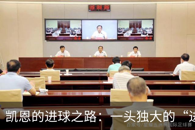 凯恩的进球之路：一头独大的“进球机器”！