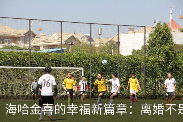 海哈金喜的幸福新篇章：离婚不是终点，爱如潮水